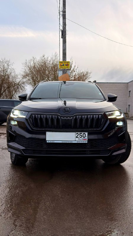 Skoda Karoq — Защита, тонировка, антихром и керамика