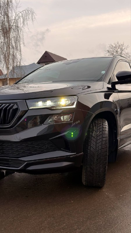 Skoda Karoq: деталь работы 3