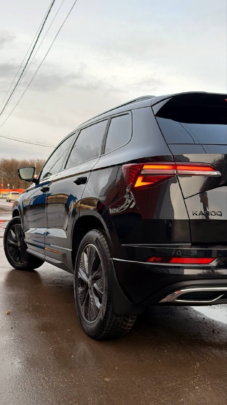 Skoda Karoq: деталь работы 4
